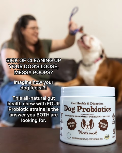 A 4:5 vertical ad featuring a dog owner and a dog, highlighting the benefits of natural gut health chews to solve messy digestion issues.